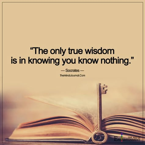 The Only True Wisdom Is Socrates, Wise Quotes, Inspiring Quotes, Wisdom Quotes, True Quotes, Proverbs, Words Quotes, About Life, Life Lessons