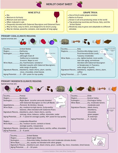 Merlot Cheat Sheet Wine Cheat Sheet, Red Wines Guide, Wine Infographic, Wine Facts, Wine Map, Wine Knowledge, Pinot Noir Wine, Wine Tasting Events, Wine Education