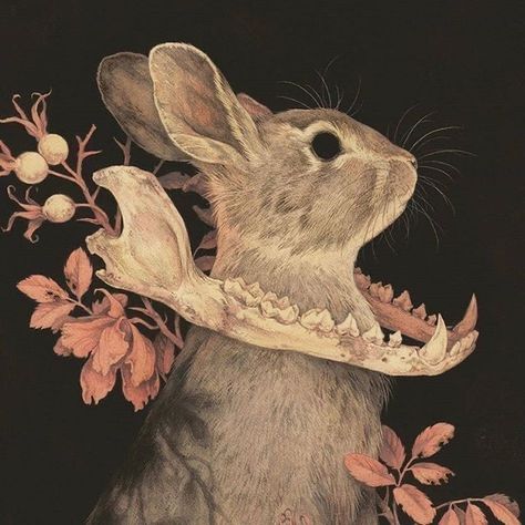 Hare Aesthetic, Occult Painting, Goth Rabbit, Teagan White, Arte Peculiar, A Drawing, Art Plastique, 귀여운 동물, Pretty Art