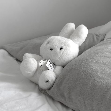 Toy Aesthetic, Stuffed Animal, Grey, White