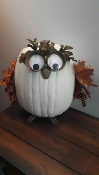 Pumpkin Owl Craft, White Pumpkin Owl, Owl Painted Pumpkins Ideas, Bumble Bee Pumpkin Painting, Artificial Pumpkin Decorating Ideas, Owl Pumpkin Decorating, Easy Pumpkin Decorating Ideas, Pumpkins Decorating Ideas, Easy Pumpkin Decorating