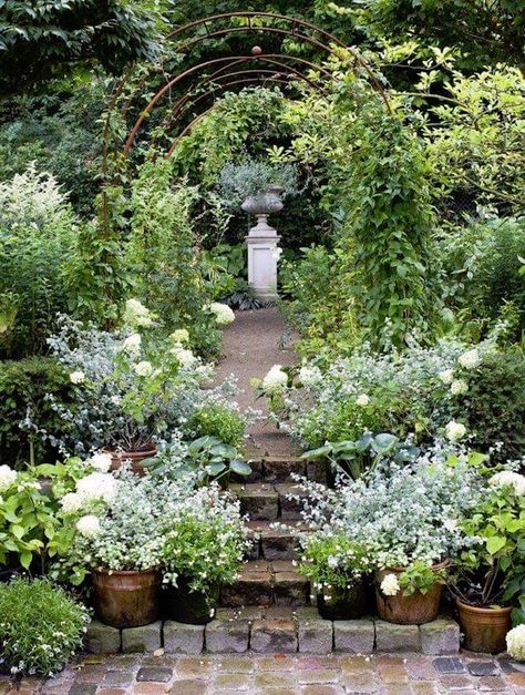 exquisite garden with potted plants Irish Country, Country Garden Decor, Small Courtyard Gardens, Courtyard Gardens Design, Exquisite Gardens, Cottage Garden Design, Secret Gardens, Moon Garden, Have Inspiration