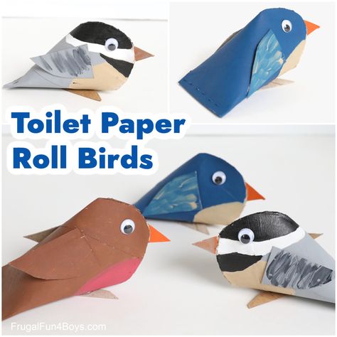 Toilet Roll Animal Craft, Toilet Paper Birds, Bird Toilet Paper Roll Craft, Toilet Paper Roll Cactus, Toilet Roll Birds, Toilet Paper Roll Birds, Birds Activities For Kids, Toilet Paper Roll Crafts For Kids, Toilet Roll Craft For Kids