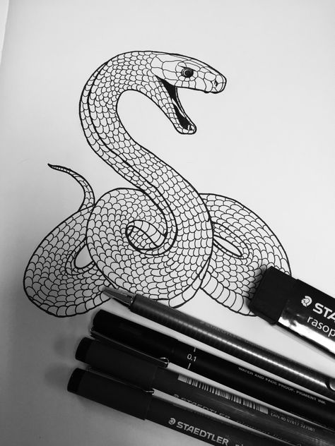 Fine art Black mamba. Black Mamba Drawing, Black Mamba Tattoo, Mambo, Black Mamba, Body Art, Graphic Design, Fine Art, Tattoos, Drawings