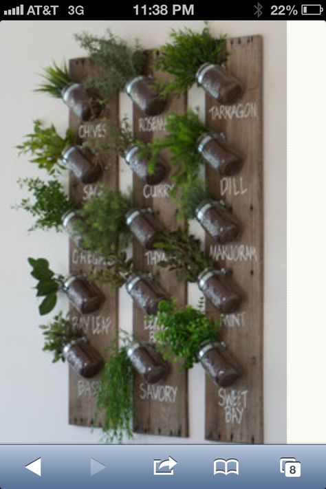 Love this Herb Garden Wall, Hanging Herb Garden, Hanging Herbs, Vertical Garden Design, Vertical Herb Garden, Vertical Gardens, Walled Garden, Indoor Herb Garden, Herbs Indoors