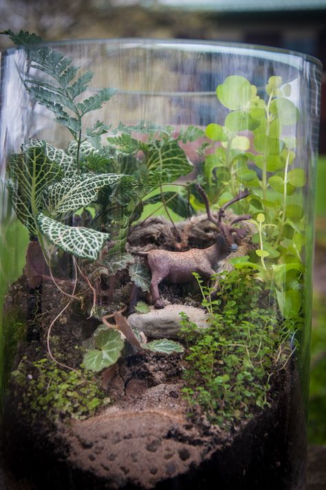 How does your garden grow? Add a touch of greenery to your desk or living space (and skip the weeding) with a low-maintenance terrarium. Weeding, Low Maintenance, Love A, Terrarium, Pittsburgh, Desk, Magazine, Plants, Glass