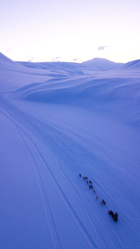 Norway Wallpaper, Svalbard Norway, Norway Winter, Nordic Aesthetic, Arctic Landscape, Water Photo, Body Of Water, Winter Aesthetic, Ski Trip