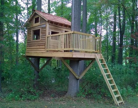 Treehouse Playhouse, Safari Project, Treehouse Design Architecture, Zombie Proof House, Deck Around Trees, Treehouse Inspiration, Tree House Playground, Complete House Renovation, Shooting House