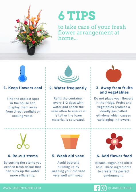 How To Take Care Of Flowers, Fresh Flower Arrangement, Flower Tips, Bold Flowers, Old Vases, Fresh Flowers Arrangements, Flower Care, Flower Food, Fresh Flower