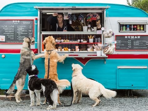 Indoor Dog Park, Things To Do In Colorado, Shop Cart, Dog Cart, Dog Ice Cream, Hot Dog Cart, Dog Cafe, Pet Spaces, Dog Business