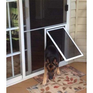 Screen Door With Pet Door - VisualHunt Sliding Door Pet Door, Screen Doggie Door, Screen Porch Dog Door, Patio Doors With Doggie Door, Dog Door In Screen Door, Screen Door With Pet Door, Sliding Screen Door With Dog Door, Diy Pet Door For Screen Door, Screen Dog Door