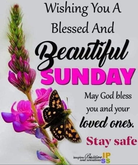 Blessings Sunday, Good Morning Motivational Quotes, Blessed Sunday Quotes, Blessed Sunday Morning, Inspirational Morning Prayers, Quotes Sunday, Happy Sunday Images, Sunday Morning Quotes, Sunday Greetings