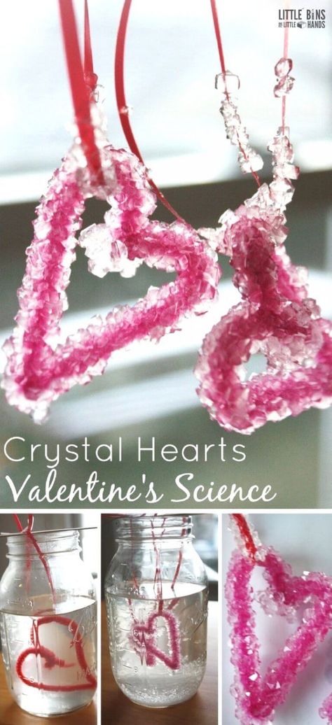 Valentine Science Experiments, Valentine Science, Fun With Science, Science Valentines, Science Experiment For Kids, Experiment For Kids, Growing Crystals, Preschool Science Activities, February Crafts