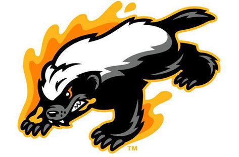 Gastonia Honey Hunters join Atlantic League – SportsLogos.Net News Badger Cartoon, Honey Badger Tattoo, Badger Tattoo, Badger Logo, Gastonia North Carolina, Leg Band Tattoos, Honey Badgers, Badgers Logo, Mascot Logos