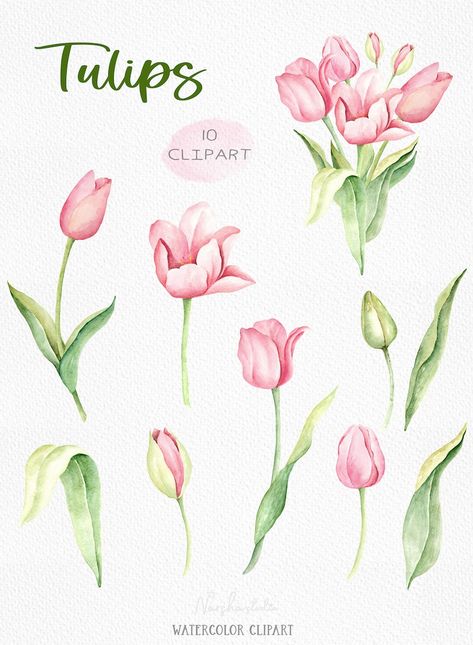 Baby Deer Art, Tulip Watercolor, Tulip Clipart, Floral Wedding Decor, Tulip Drawing, Tulip Tattoo, Wreath Frames, Tulip Painting, Tulips Art