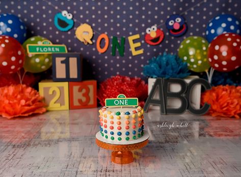 Smash Cake Sesame Street, Elmo Cake Smash Photography, Sesame Street Smash Cake 1st Birthdays, Elmo Smash Cake Boy, Sesame Street First Birthday Girl, Sesame Street Smash Cake, Maya Projects, Elmo Cake Smash, Sesame Street Cake Smash