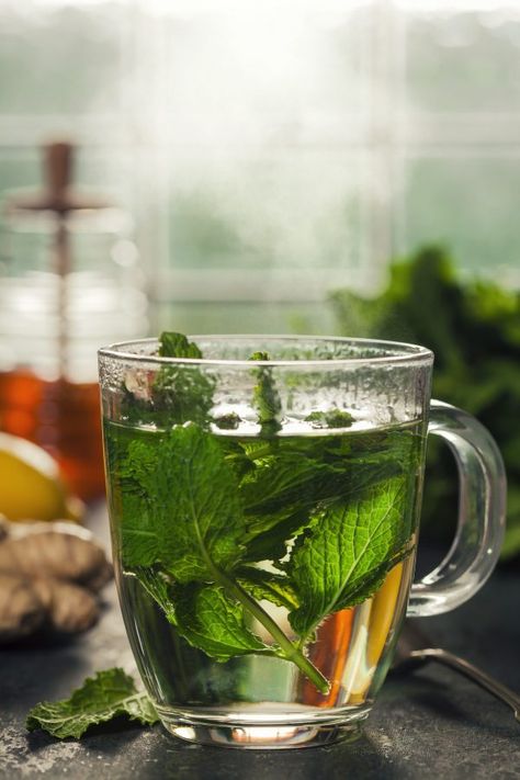 Easy Fresh Mint Tea (Hot or Iced). 5-10 leaves per cup, 200 degrees, 3-5 min Fresh Mint Tea, Nettle Leaf, Health Tonic, Mint Tea, Peppermint Tea, Tea Benefits, Wild Food, Healing Herbs, Fresh Mint