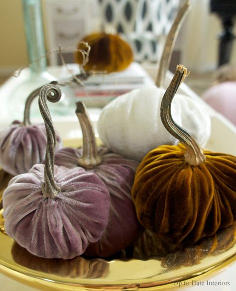 DIY VELVET PUMPKINS- I have made sweeter pumpkins, but I need to try the velvet ones! Diy Velvet Pumpkins, Witches Tea Party, Velvet Acorn, Witches Tea, Pumpkins Diy, Blue Harvest, Thanksgiving Favors, Sweater Pumpkins, Pumpkin Stem