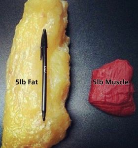 I love this comparison!  Great illustration of the difference between lean pounds vs fat pounds! Fat Vs Muscle, 5 Lbs Of Fat, Lose 5 Pounds, Pound Of Fat, Lose 20 Pounds, Healthy Weight, Get Healthy, Fat Loss, Fitness Motivation