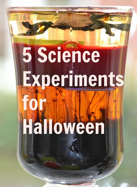 5 Science Experiments for Halloween from Science Sparks Science Halloween, Vetenskapliga Experiment, Science Experience, Halloween Science, Cool Science Experiments, Preschool Science, E Mc2, Homeschool Science, Science Classroom