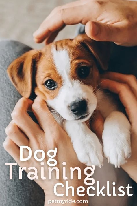 Dog Training Plan, Dogs Training Tips, First Time Dog Owner Checklist, Training Checklist, Puppy Tips, Puppy Checklist, Dog Training Books, Basic Dog Training, Dogs Training