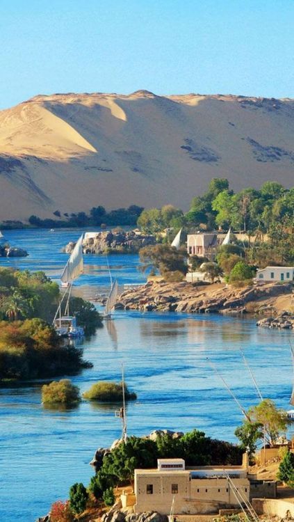 Nile River, Egypt Nile River Egypt, Aswan Egypt, Starověký Egypt, شرم الشيخ, The Nile River, Nile River, Egypt Travel, Destination Voyage, The Nile