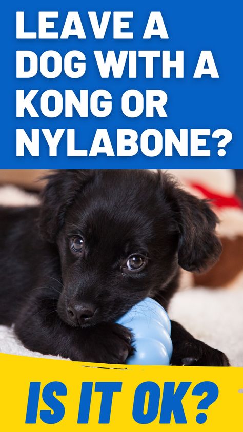 Is it ok to leave your dog alone with a Kong or Nylabone chew toy, we tell all! Kong For Puppies, Kong Fillers, How To Stuff Kong Toy, What To Put In Kong Toy For Puppy, How To Clean Kong Toys, How To Teach Your Dog To Clean Up Toys, Puppy 101, German Shepherd Names, Cute Puppy Photos