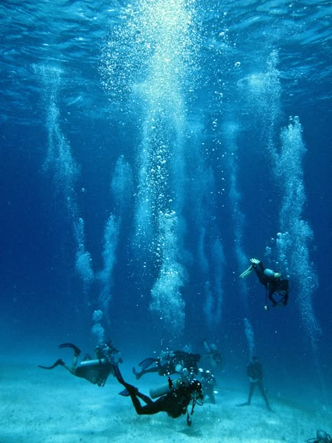 Scuba Diving in Aquarium, Half moon Caye, UNESCO Natural Monument, Belize Belize Scuba Diving, Maldives Scuba Diving, Marine Archaeology, Sea Of Stars, Under The Ocean, Adventure Inspiration, Dream Photography, Sailing Trips, Marine Biologist