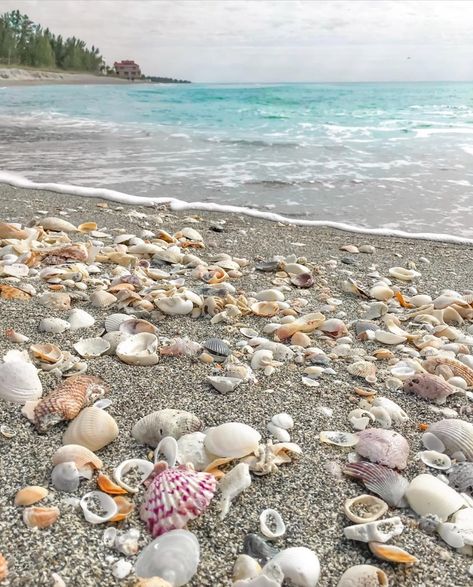 Somewhere On A Beach, Blue Beach House, Perfect Pumpkin Pie, Treasure Beach, Victoria Magazine, There Is Still Time, Mermaid Aesthetic, Summer Painting, Seaside Getaway