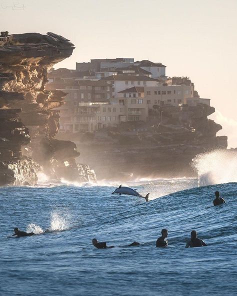 Bronte Beach, Australian Photography, Surfing Photography, Surf Life, Amazing Pics, New South Wales, Sydney Australia, Most Beautiful Places, Gold Coast