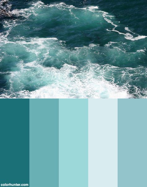 Tiffany Blue Color Palette, Color Palette For Home, Color Tiffany, Tiffany Color, Tiffany Blue Color, Coastal Colors, Nature Color Palette, Ocean Colors, Color Psychology