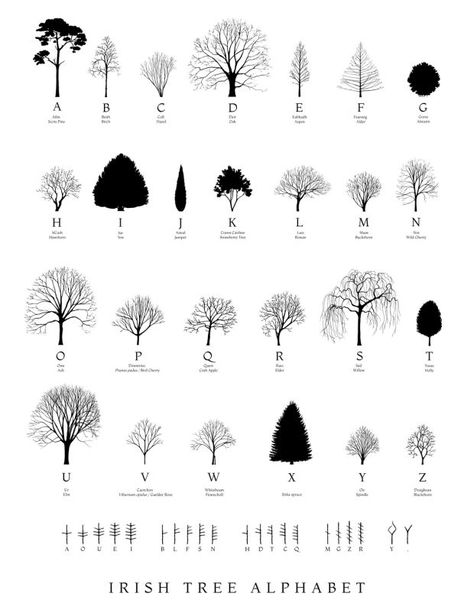 Why I made a new Irish Tree Alphabet Tree Line Tattoo, Tree Alphabet, Ireland Tattoo, Ogham Alphabet, Scots Pine, City Tree, Writing A Love Letter, Poster Fonts, Words Matter