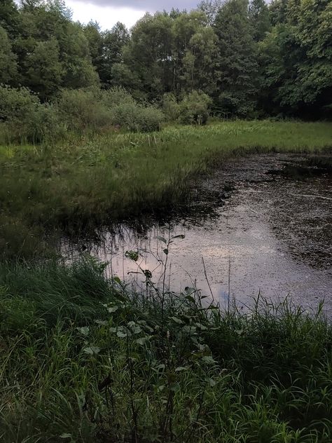 Summer aesthetic Woods With Lake, Lake In Woods, Scene Moodboard, Crowded Room, Hogwarts Dr, Pretty Nature, Lake Forest, Sun And Stars, Forest River