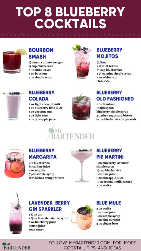 Top 20 Blueberry Cocktails to Try