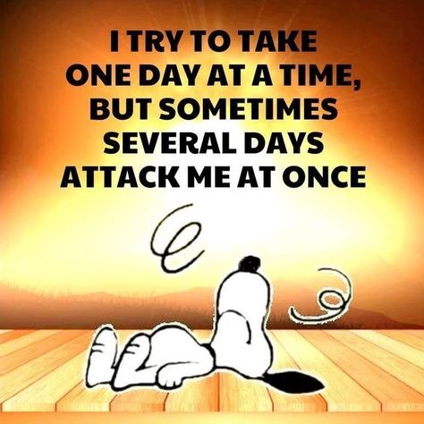 Peanuts Quotes, Charlie Brown Quotes, Snoopy Funny, Snoopy Images, Snoopy Quotes, Snoopy Pictures, Snoopy Love, Funny Cartoon Quotes, One Day At A Time