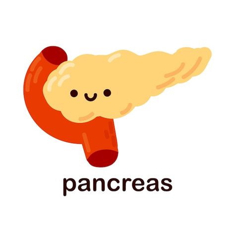 Pancreas Drawing, Human Internal Organs, Cute Human, Internal Organs, Women Health Care, Childrens Drawings, Male Fitness Models, Animated Images, Flat Style