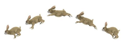 Rabbit Side View, Bunny Running, Bunny Jump, Jump Animation, Running Illustration, Rabbit Jumping, Chinese Graphic, Rabbit Silhouette, Mouse Photos