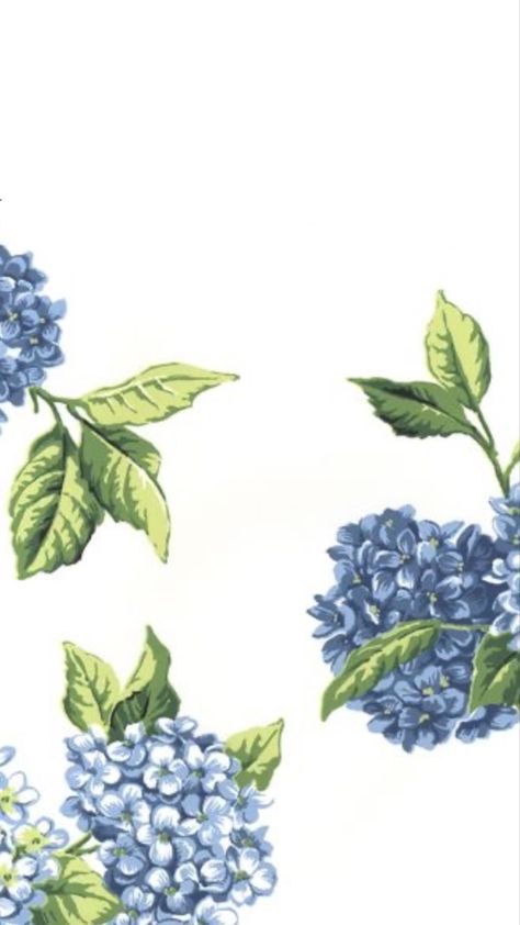 Chinoiserie Wallpaper Iphone, Hydrangeas Wallpaper, Dark Blue Hydrangea, Multicoloured Wallpaper, Hydrangea Green, Hydrangea Pattern, Hydrangea Cottage, Hydrangea Wallpaper, Hydrangea Pink