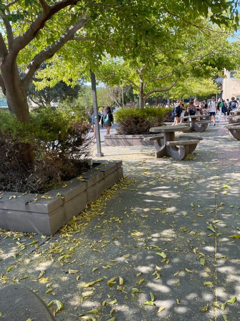 school in the fall aesthetic Schoolyard Aesthetic, School In Fall, School In The Fall, Romanticizing Life, School Yard, Fall Aesthetic, In The Fall, The Fall, High School