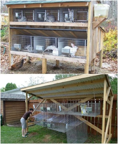 10 Free DIY Rabbit Hutch Plans That Make Raising Bunnies Easy #diy #rabbithutch #rabbitcages #cages #homesteading Rabbit Hutch Plans Outdoor, Rabbit Runs Outdoor Diy, Rabbit Shelter Outdoor Diy, Pallet Rabbit Cage, Meat Rabbit Hutch Outdoor, Simple Rabbit Hutch, Easy Diy Rabbit Cage Outdoor, Rabbit Hutches Outdoor, Hanging Rabbit Cages