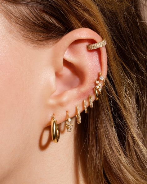 Hoop it up 👏 Curated Ears, Piercing Art, Pretty Piercings, Body Jewerly, Stone And Strand, Piercing Inspo, Ear Piercing, Earrings In Gold, Birthstone Earring