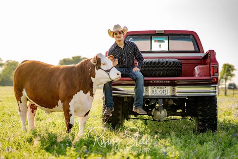 Senior Picture Ideas With Show Cattle, Senior Pictures With Show Steer, Senior Pictures With Cattle, Senior Farm Pictures Boys, Cattle Senior Pictures, Show Cattle Senior Pictures, Award Shelf, Truck Senior Pictures, Cowboy Poses