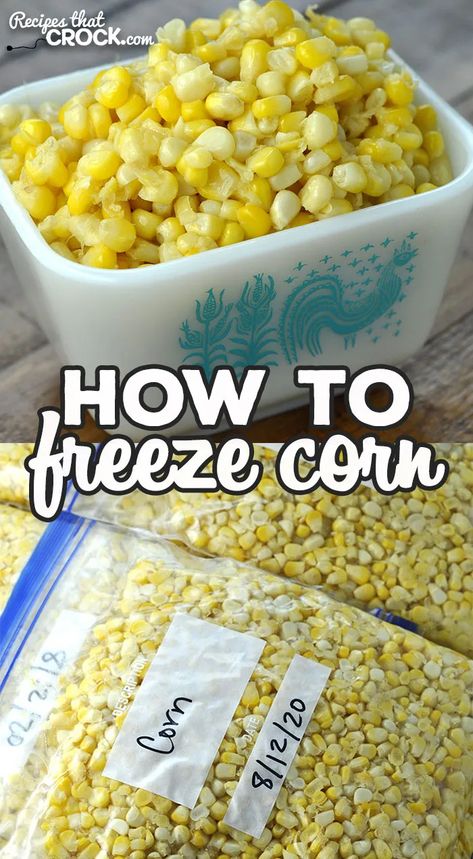 Have you ever wondered How to Freeze Corn? This simple recipe is a tried and true recipe to freeze up some fresh corn to enjoy all year long! via @recipescrock Freezing Corn Recipes, Freezer Corn Recipe, Frozen Corn Recipes, Freezing Fresh Corn, Freezing Corn, Store Fresh Herbs, Freezing Vegetables, How To Cook Corn, Corn Recipe