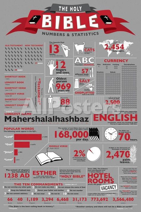 Statistics Poster, Bible Infographics, Bible Numbers, 5 Solas, Woord Van God, Bible Study Help, The Holy Bible, Bible History, Bible Study Notebook