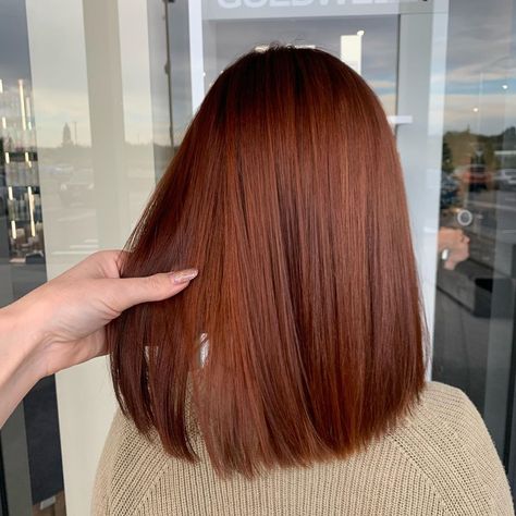 Long Bob Auburn Hair, Dark Cooper Short Hair, Shoulder Length Hair Auburn, Long Bob Copper Hair, Brown Copper Short Hair, Short Dark Ginger Hair, Dark Copper Bob, Red Hair Color Auburn, Auburn Hair Straight