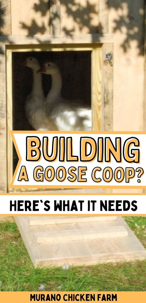 Geese Pond Ideas, Geese Shelter Ideas, Goose Nesting Boxes, Diy Goose House, Geese Pen Ideas, Goose Coop Diy, Goose Enclosure Ideas, Goose Nesting Box Ideas, Geese Coop Ideas