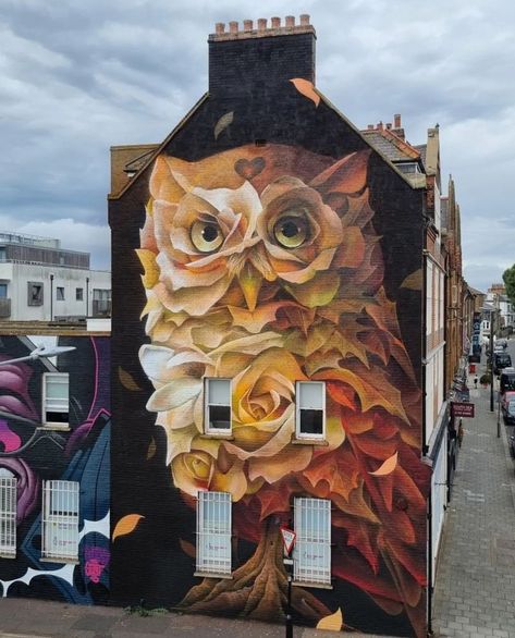 Owl Mural, Protest Art, Positive Art, Amazing Street Art, Facebook Fan Page, Graffiti Painting, Murals Street Art, Uk Artist, Big Art