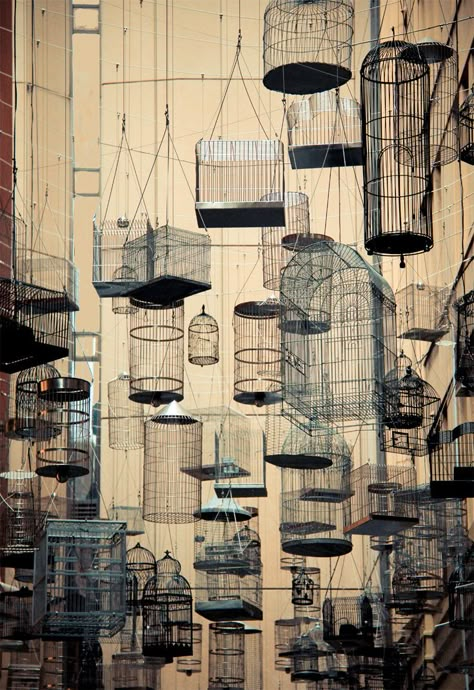 "Cages"   Sydney, 2012 || Photograph by Ralvgar, via flickr Paris Portrait, Travel Outfits, Bird Cages, Foto Art, Bird Cage, Bird Houses, Installation Art, Street Photography, Hong Kong