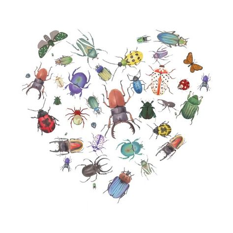 beautiful Beetle Heart, Entomology student, Insect lover Bug - Entomologist Gift - T-Shirt | TeePublic Bug Laptop Wallpaper, Bug Widgets, Entomology Aesthetic, Bug Aesthetic, Insect Girl, Cute Bugs, Bug Print, Bug Art, Beautiful Bugs