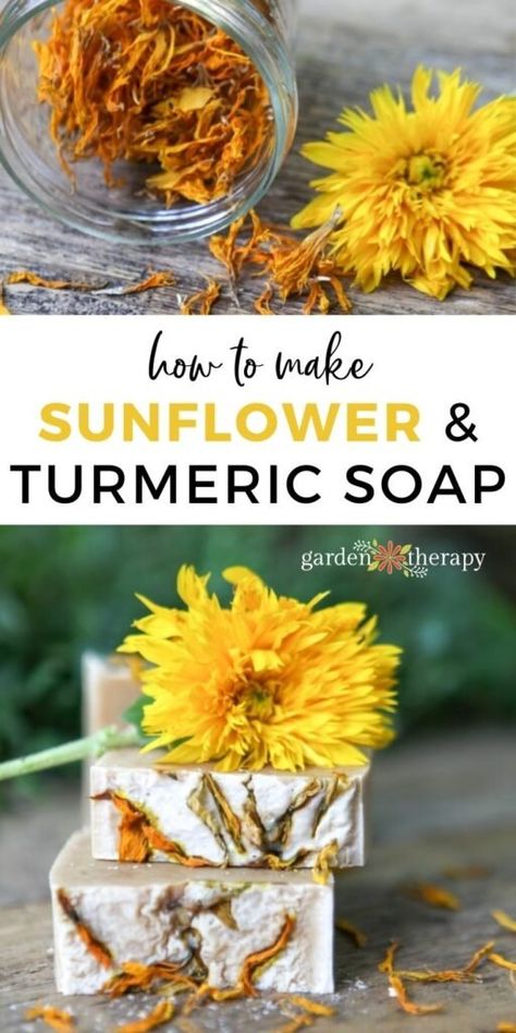 Bring in the warm tones of fall with this cheery sunflower turmeric soap recipe. Made with sunflower oil for ultimate moisture and turmeric for colour, both the ingredients also contain amazing health benefits for the skin. Make a soap to celebrate the season! #gardentherapy #soapmaking #fall #sunflowers #turmeric #soap #diy Turmeric Soap Recipe, Soap Making For Beginners, How To Make Sunflower, Diy Natural Beauty Recipes, How To Make Soap, Natural Skincare Recipes, Cold Process Soap Recipes, Garden Therapy, Simplify Life